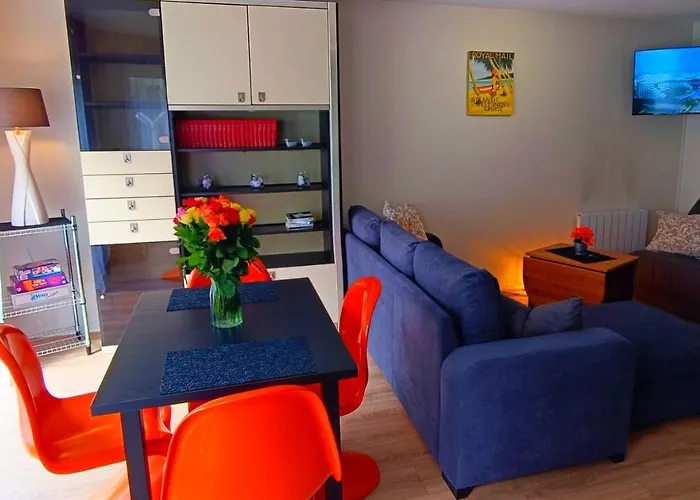 Appartement Avec Jardin - Centre-Ville A 10 Minutes A Pied