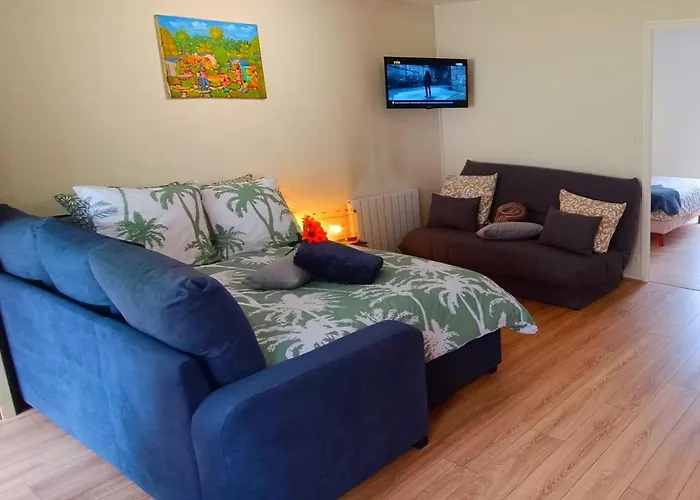 Appartement Avec Jardin - Centre-Ville A 10 Minutes A Pied