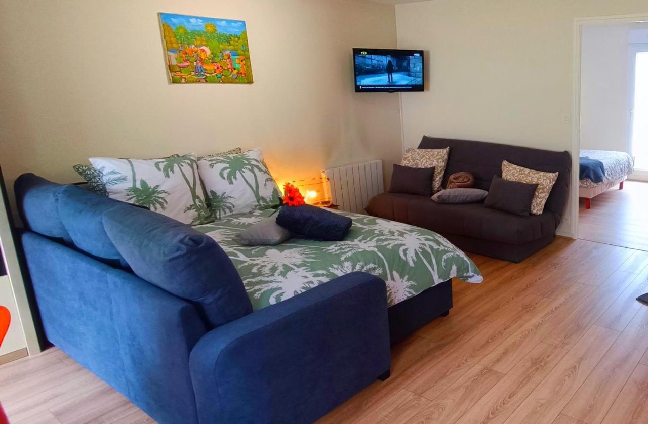 Appartement Avec Jardin - Centre-ville A 10 Minutes A Pied
